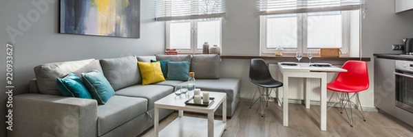 Obraz Contemporary studio apartment in gray
