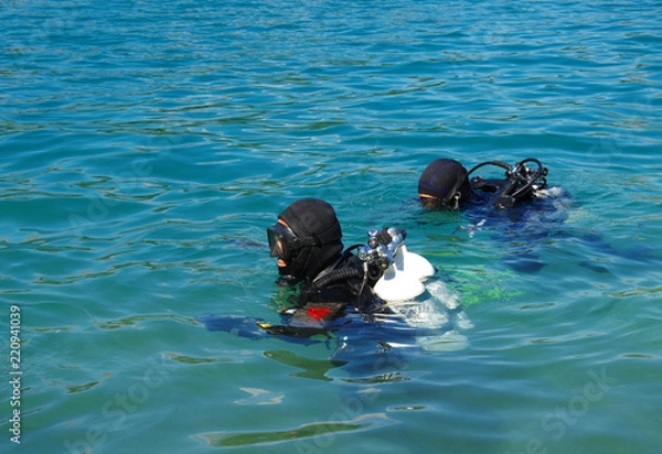 Obraz Scuba diver before diving.