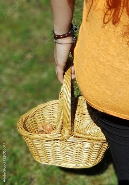 Obraz Buscando setas en otoño