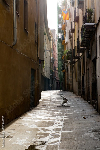 Fototapeta スペイン風景