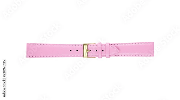 Obraz The watchstrap isolated