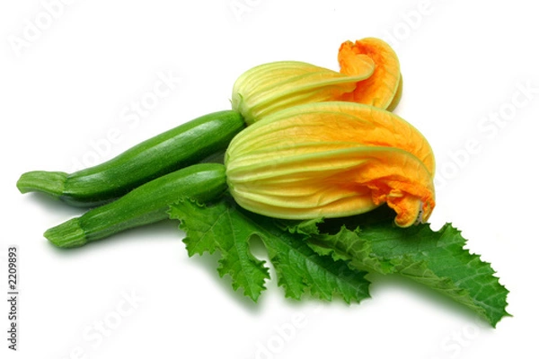 Fototapeta courgettes with flower