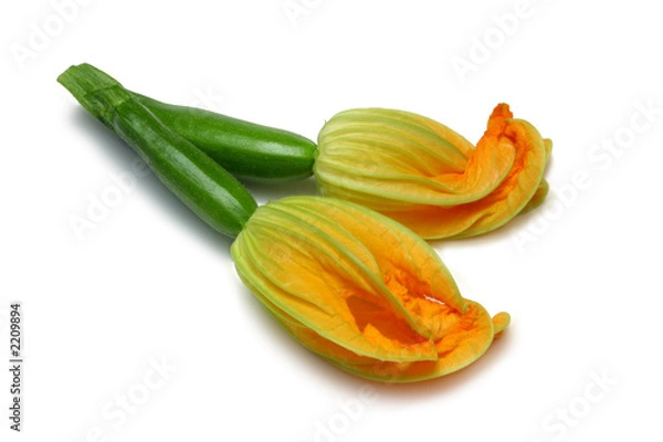 Obraz courgettes with flower