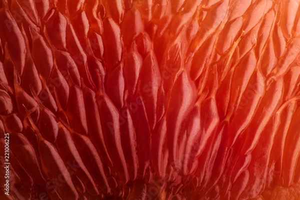 Obraz Orange slice background. Abstract macro shoot.