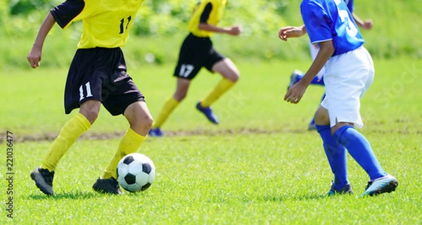 Fototapeta サッカー　フットボール