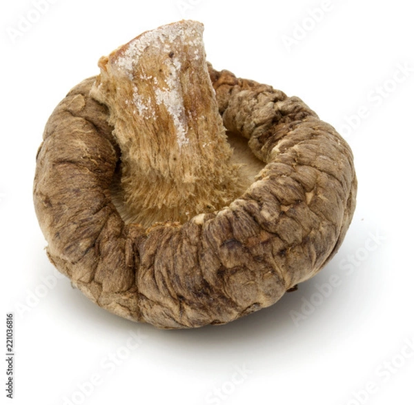 Fototapeta Dried Shiitake Mushroom isolated on white background