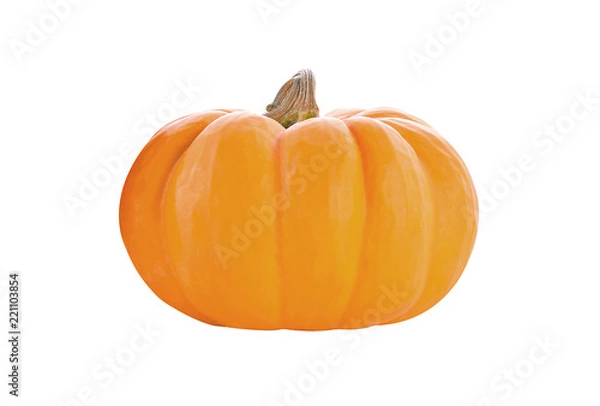 Obraz Pumpkin isolated on white background.