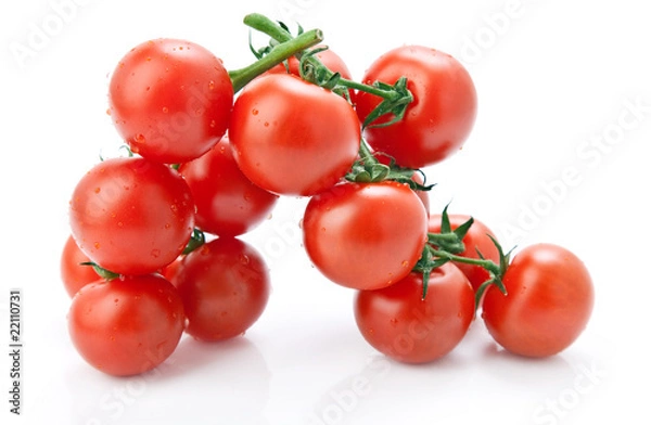 Obraz Cherry tomatoes on white background.