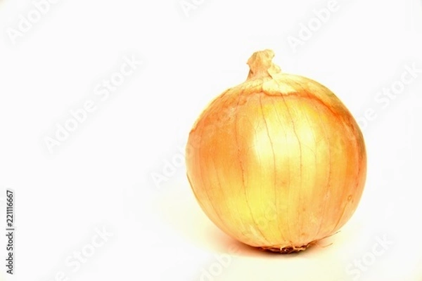 Fototapeta onion
