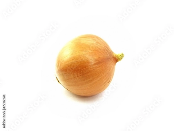 Obraz onion