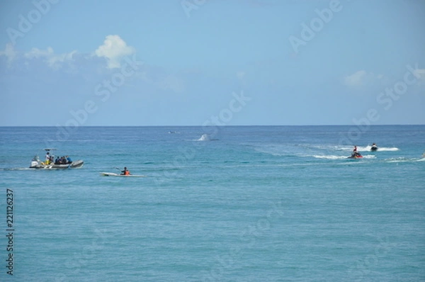Obraz baleine en mer 