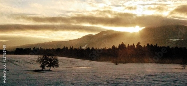 Obraz Golden Landscape