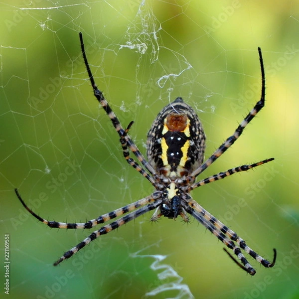 Fototapeta OLYMPUS DIGITAL CAMERA