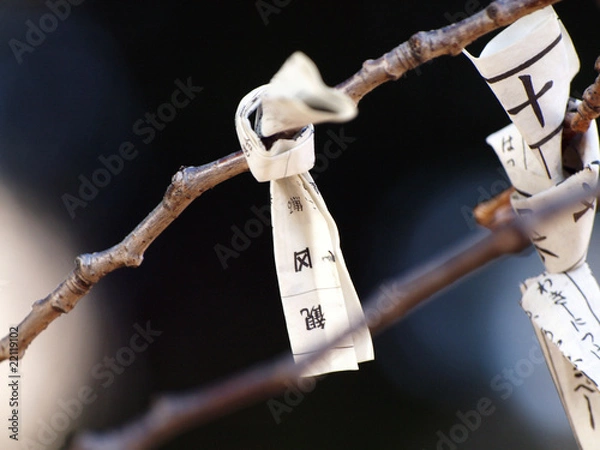 Fototapeta 桜の枝に結ばれた凶のおみくじ