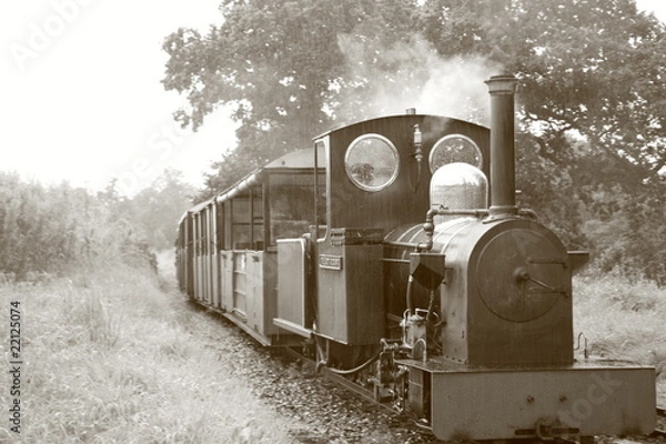 Obraz Train 1