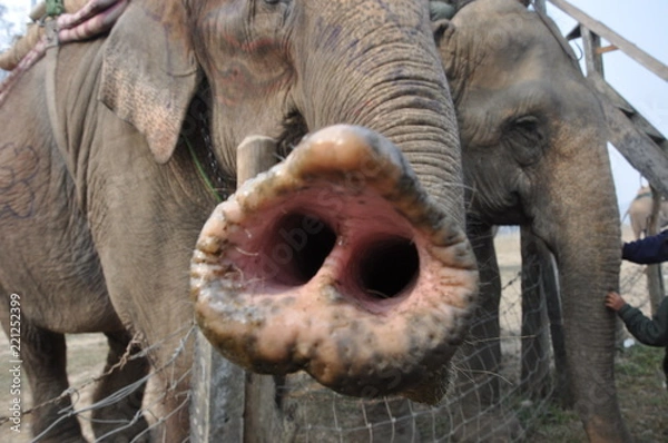 Obraz voyage en inde