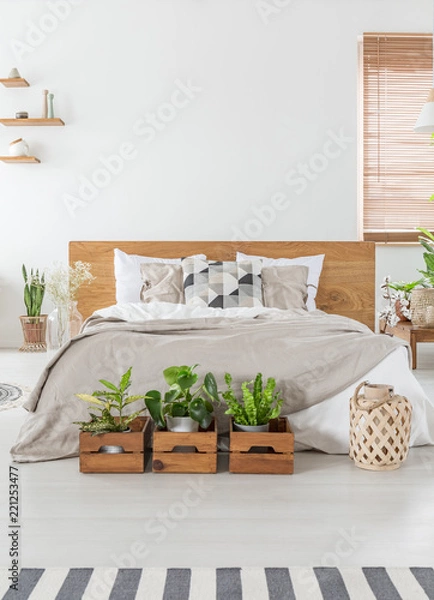 Fototapeta Real photo of a cozy bedroom interior with a double bed, plants in wooden boxes and empty wall in the background. Place your graphic