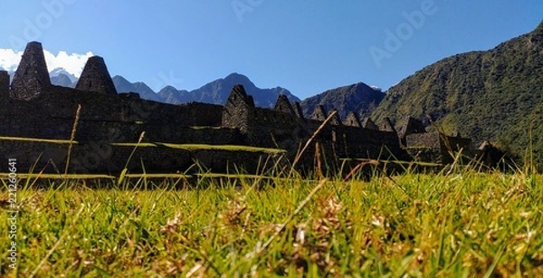 Fototapeta Cesped en Machu Picchu