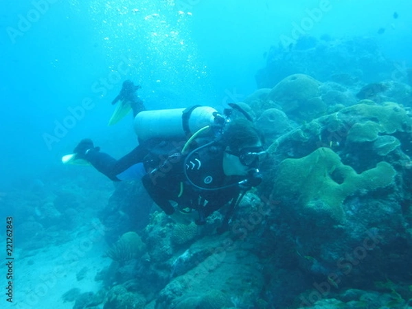 Fototapeta Buceador 1