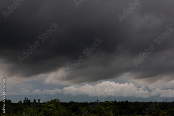 Fototapeta sky in the evening befor rain