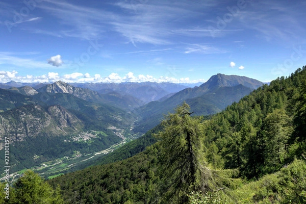 Fototapeta A landscape of green mountains, with pines and firs, rocks and glaciers, in the Vigezzo Valley, northern Italian Alps