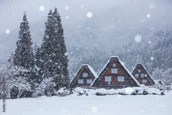 Fototapeta 岐阜県 白川郷 雪景色