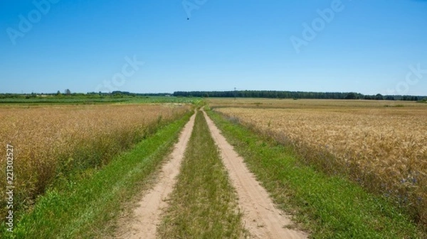 Fototapeta Sandy road through fields in Poland