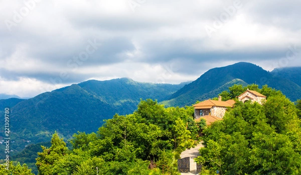 Obraz House on the Mountain