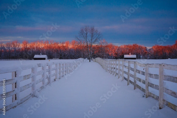 Obraz Fresh Paint on a Blank Canvas