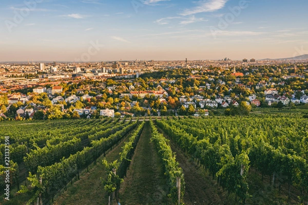 Fototapeta View from vineyards over Nussdorf in Vienna
