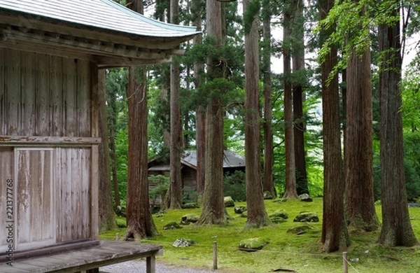 Fototapeta 苔が美しい日本の神社の境内