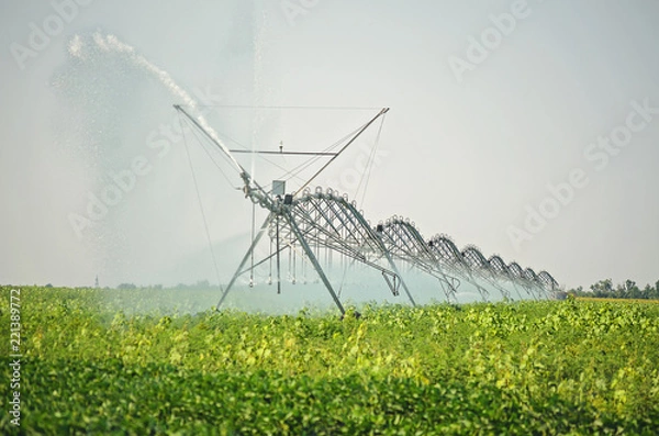 Fototapeta watering the fields