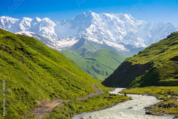 Obraz trail along river, green slope and Mount Shkhara