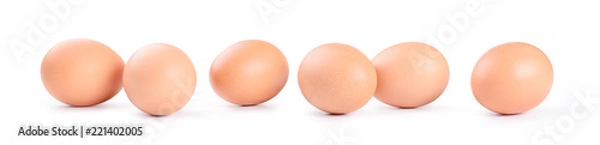 Obraz Sześć kurczaków jajek na białym tle