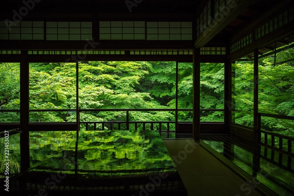 Fototapeta 京都府 瑠璃光院 新緑