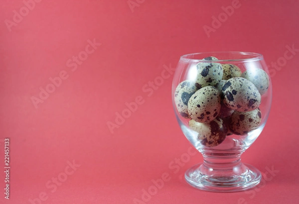 Fototapeta small quail eggs