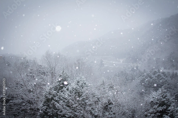 Obraz 明け方の粉雪