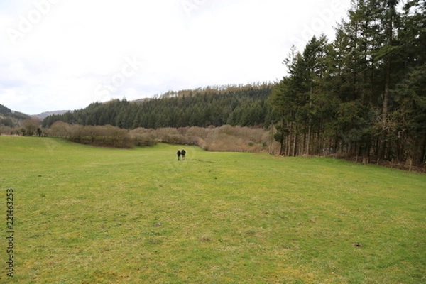 Fototapeta Small Waterfall and Bridge,