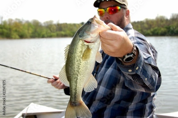 Obraz wędkarz basowy