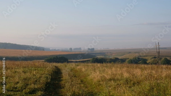 Obraz sunset over field