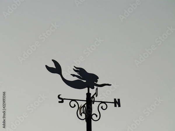 Fototapeta OLYMPUS DIGITAL CAMERA