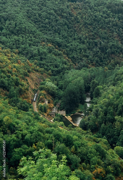 Obraz Train running through green and wooded mountains