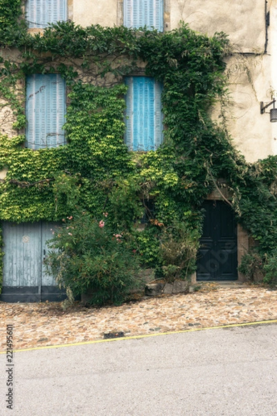 Obraz old facade house with the wall covered with green ivy