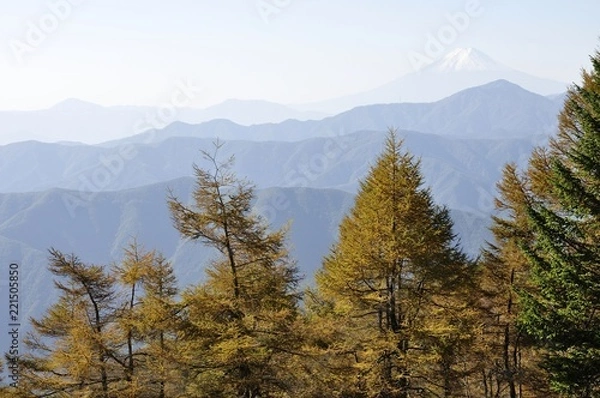 Fototapeta 富士山遠望