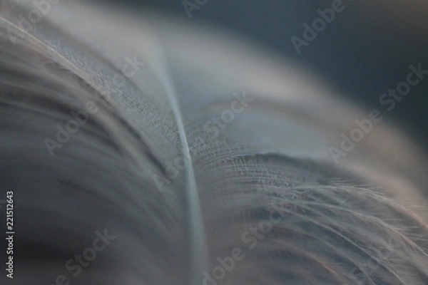 Obraz macro landscape