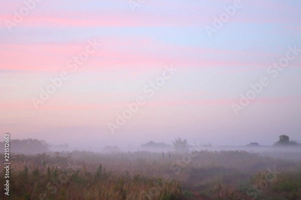 Obraz dawn in meadow