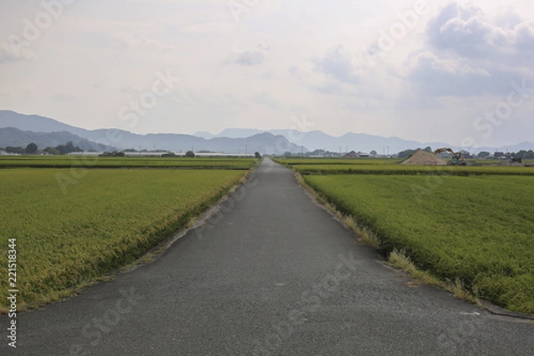 Obraz 道　田園風景