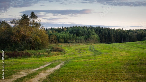 Fototapeta summer countryside. a hilly field with a forest in the background. evening twilight