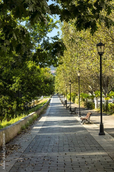 Obraz chemin de promenade 