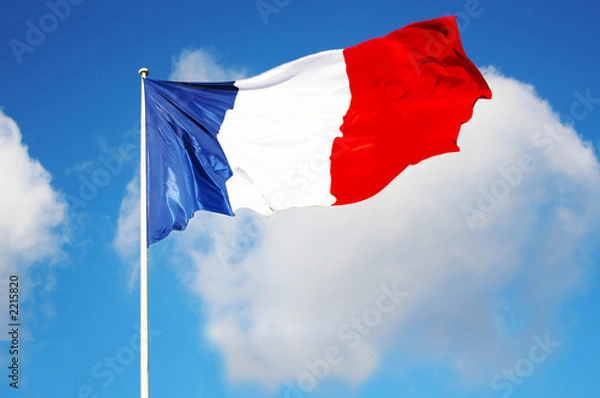 Obraz french flag